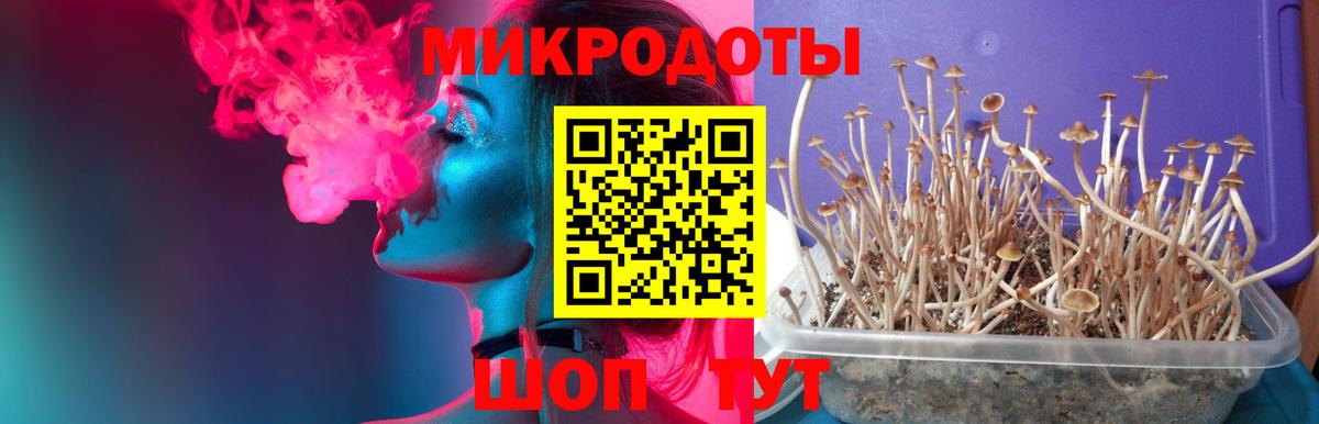 Мирный  Псилоцибиновые грибы Psilocybe  Вход с VPN  Галлюциногенные грибы GOLDEN TEACHER 